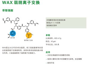 成都信息系統的固相萃取柱廠家 專業品質與技術創新的完美結合